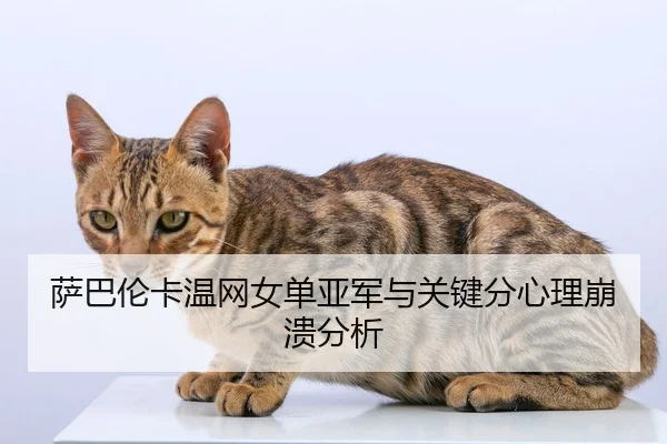 萨巴伦卡温网女单亚军与关键分心理崩溃分析